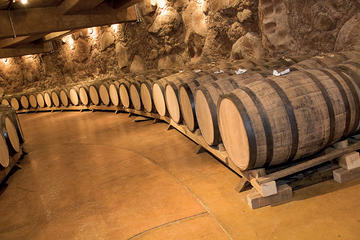 half day chianti afternoon tour from pisa in pisa 289374